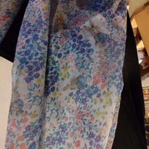 Beatrix Potter Peter Rabbit Scarf from Potter Home in the Lake District England
